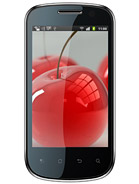Best available price of Celkon A19 in Swaziland