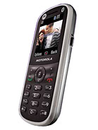 Best available price of Motorola WX288 in Swaziland
