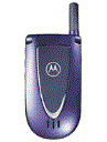 Best available price of Motorola V66i in Swaziland